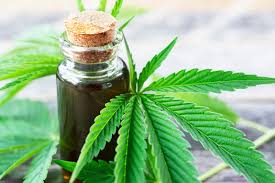 Usos del cannabis, cannabinoides
