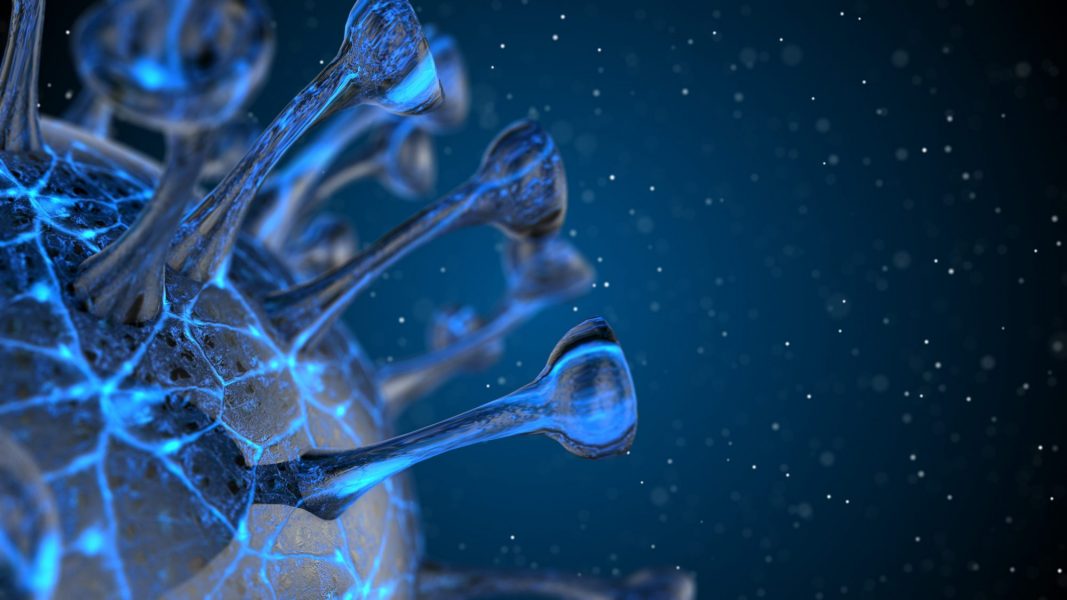 dreamstime xxl 176810489