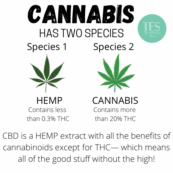 D2671F95 8D0C 4869 92EC CE1AFCDEB74F