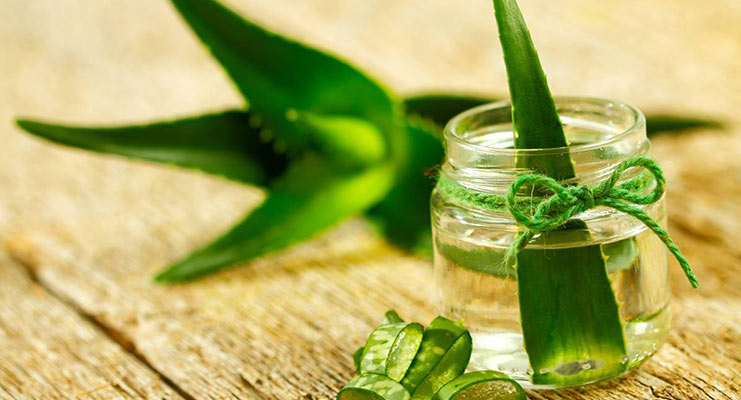 3 Major Benefits Of Aloe Vera To Enhance Your Beauty 1