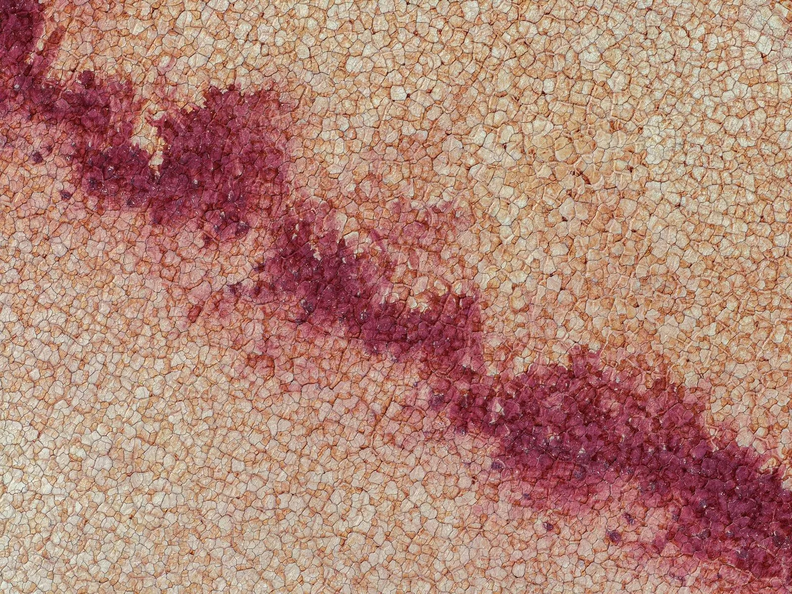 A close up of a red substance on a surface