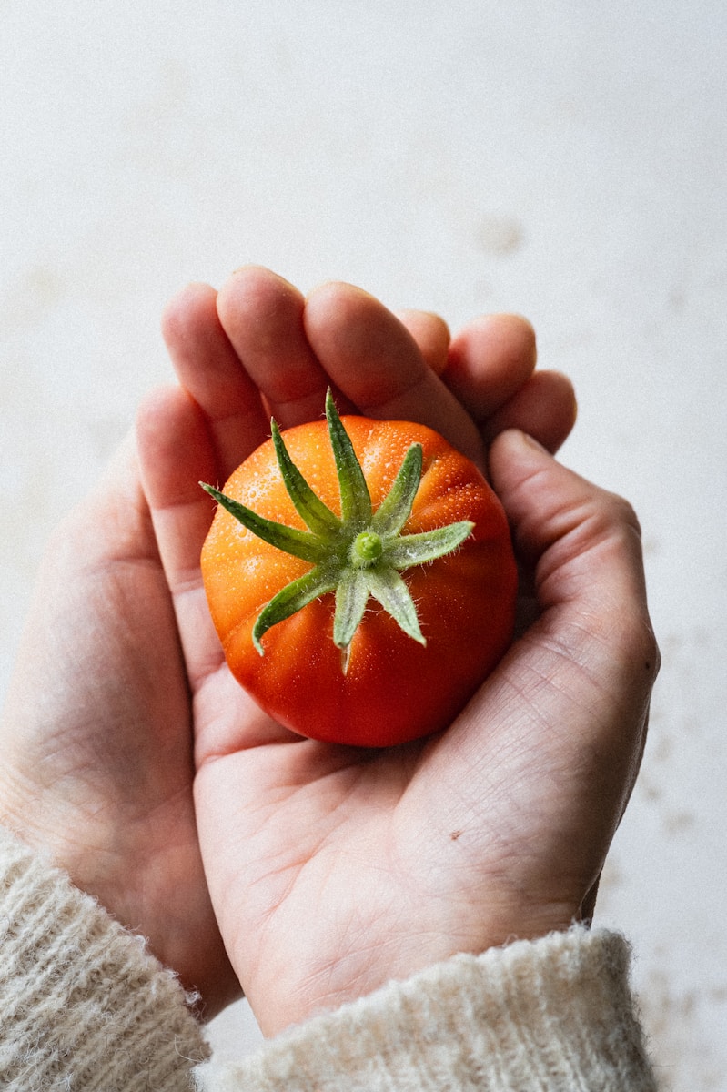 A person holding a tomato in their hands